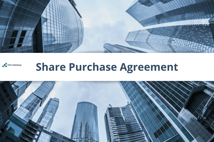 Share Purchase Agreement Format